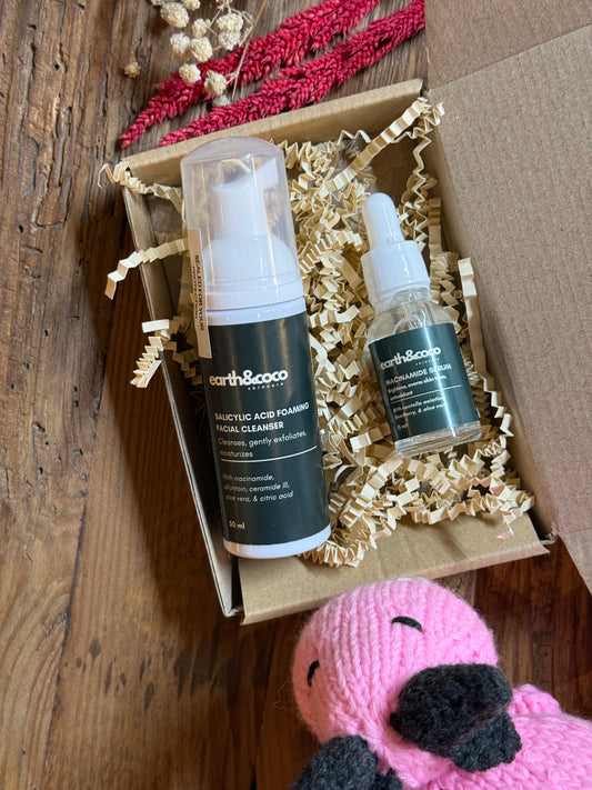 Clear & Bright Holiday Set – Salicylic Cleanser + Niacinamide
